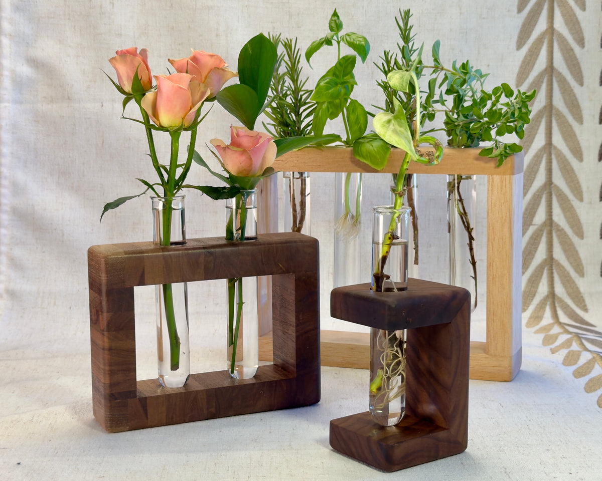 Upcycled Walnut Propagation Stand