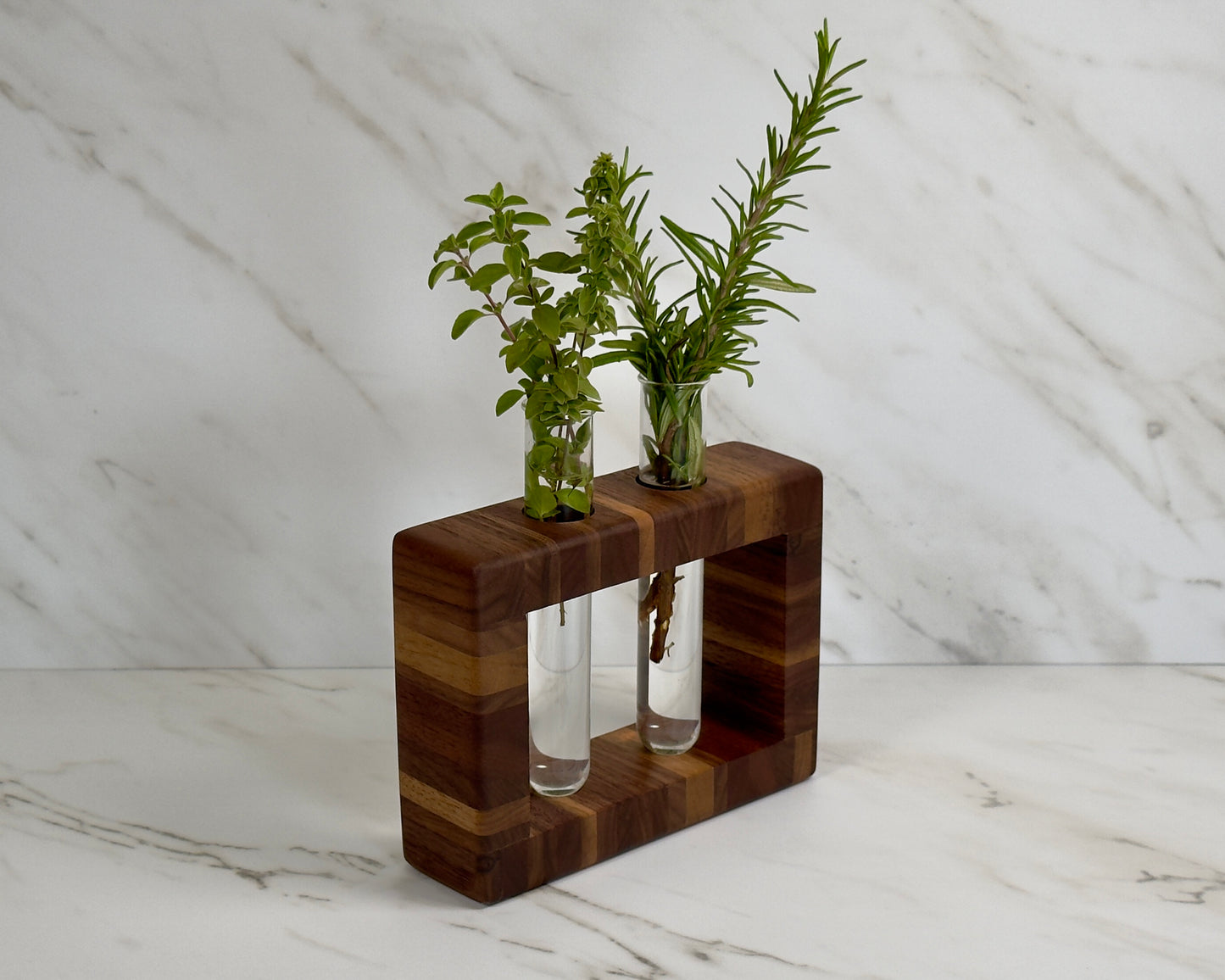 Upcycled Walnut Propagation Stand