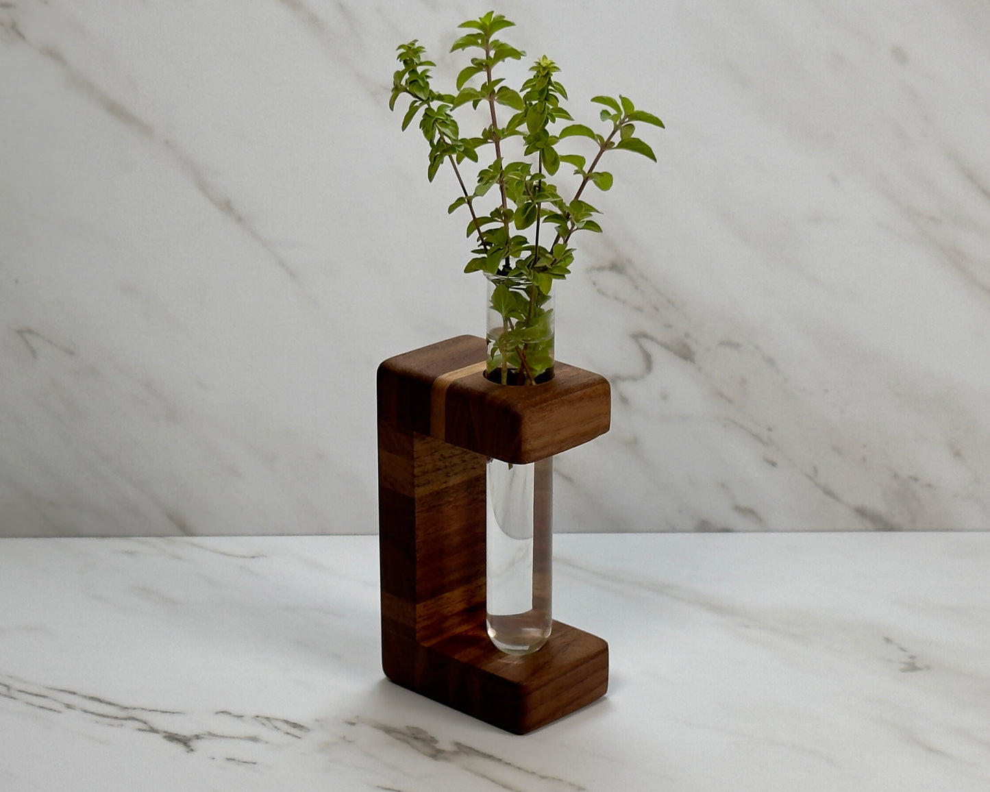 Upcycled Walnut Propagation Stand